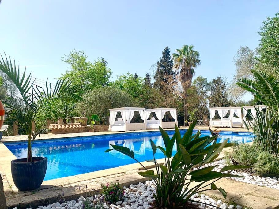 Appartement Llorenc 1, Entspannung Pur,stilvoll,ruhig,xxl Pool *